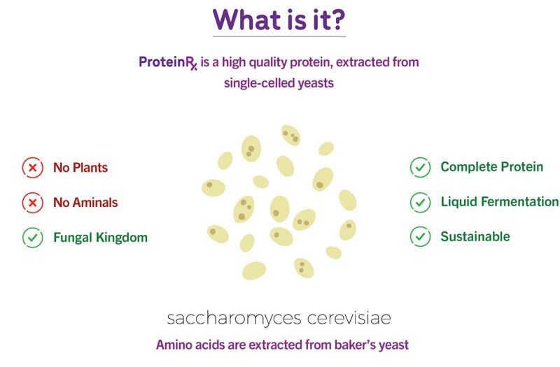 ProteinRx | Yeast Protein Isolate